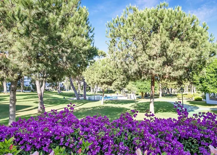 De 2 En Playas Del Duque *